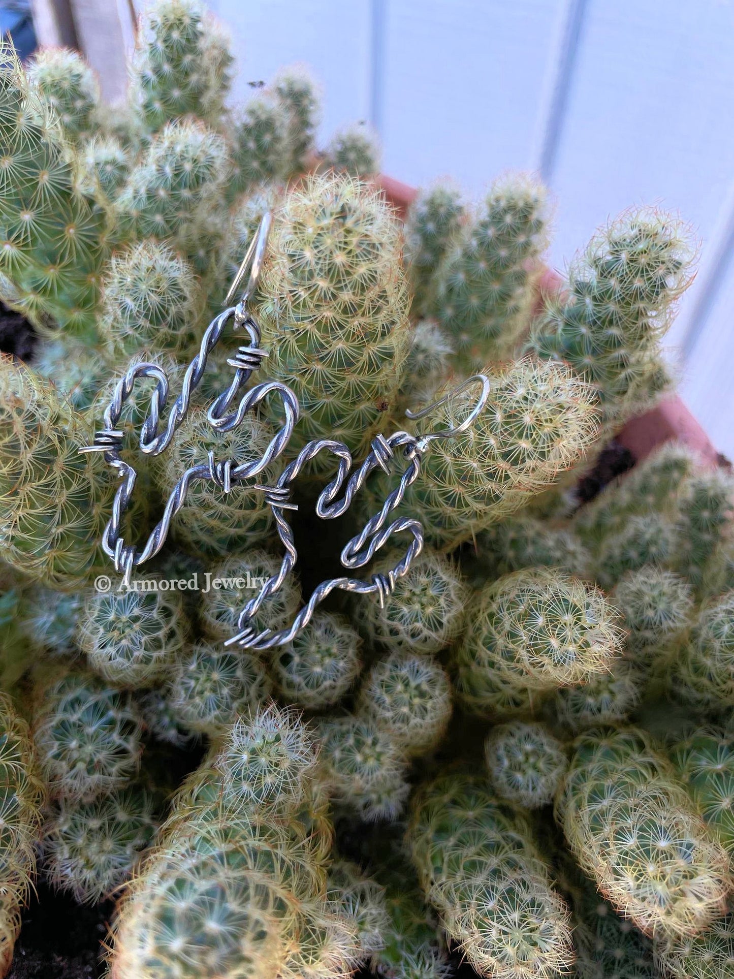 Sterling Silver Saguaro Cactus Barbed Wire Earrings