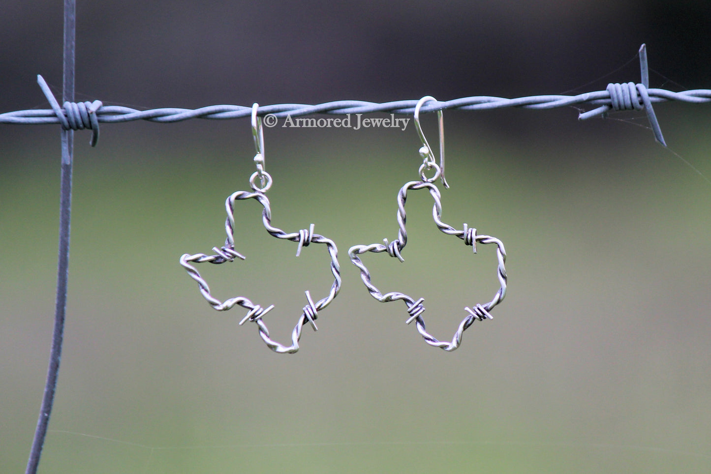 Sterling Silver Texas Barbed Wire Earrings