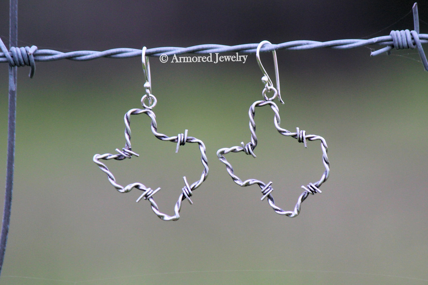 Sterling Silver Texas Barbed Wire Earrings