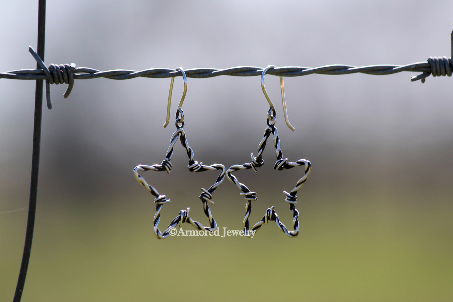 Sterling Silver Cowgirl Star Barbed Wire Earrings