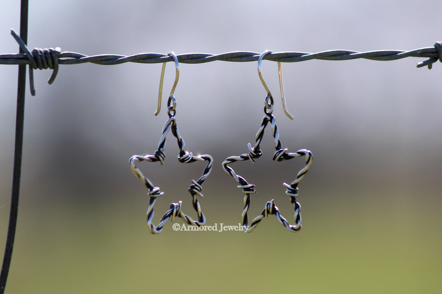 Sterling Silver Cowgirl Star Barbed Wire Earrings